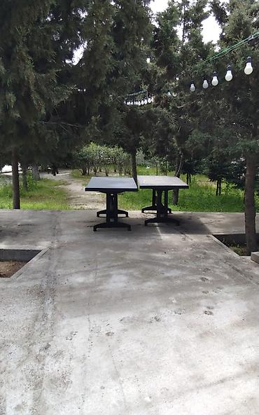stol 2 ci el: Stollar satılır 115 manta alınıb iki sezon işlənib heç bir problemi — 2