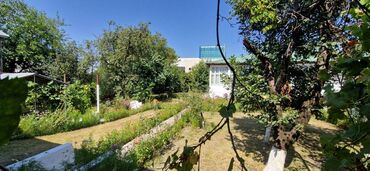 Torpaq sahələrinin satışı: 12 sot, Tikinti, Makler, Kupça (Çıxarış) — 22