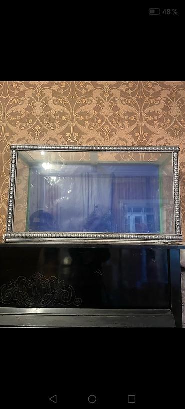 Dördbucaq akvarium, Boş, 150 l, Ödənişli çatdırılma, Ünvandan götürmə, Rayonlara çatdırılma