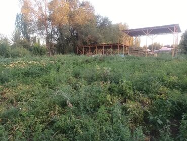 Продажа домов: Дом, 169 м², 6 комнат, Собственник, Старый ремонт — 27