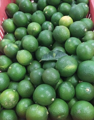 куплю насос для полива: ЛАЙМ ( Limes ) Производство : Мексика ( Mexico ) Вес : 5 кг (