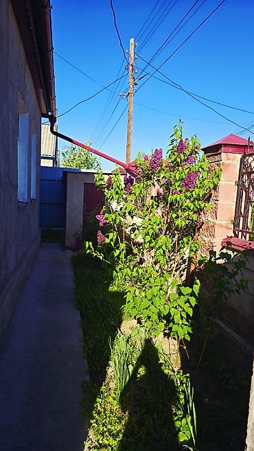 Продажа коттеджей и домов: Продам дом в городе.Кант во втором микрорайоне, район жилого дома — 12