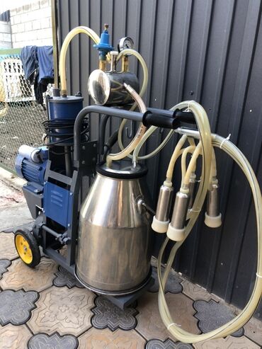 коровы дойные: Продаю доильный аппарат китайский на одну Карову в идеальном состоянии