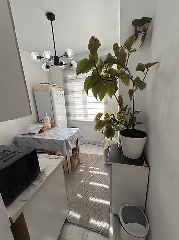 Продажа квартир: 2 комнаты, 2 м², 4 этаж — 6