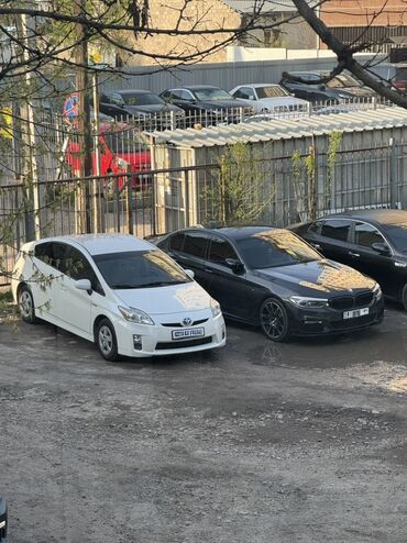 подкрыльник на приус: Toyota Prius: 2011 г., 1.8 л, Вариатор, Гибрид, Хэтчбэк