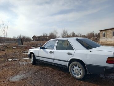 Mercedes-Benz: Mercedes-Benz W124: 1988 г., 2.5 л, Автомат, Дизель