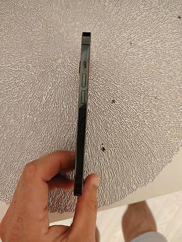 ipad pro m2 pro: IPhone 13 Pro Max, Alpine Green, Face ID — 5