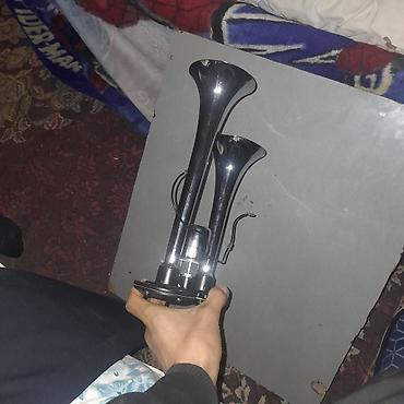 Avtomobil üçün siqnalizasiya: Aşağı yeri var ! Məhsul: Air Horn – Hava ilə işləyir - Gərginlik — 7