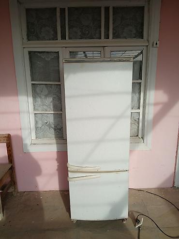 Soyuducular: İkiqapılı məişət soyuducusu - Üst hissə: soyutma bölməsi, tənzimlənən — 1