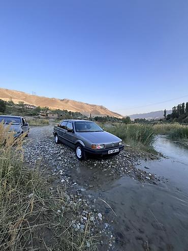 Volkswagen Passat: 1992 г., 1.8 л, Механика, Бензин, Лифтбек