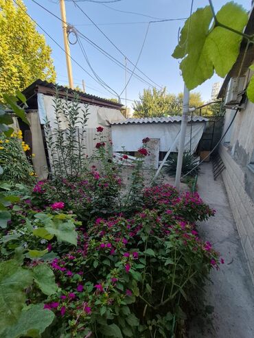 Продажа домов: Дом, 93 м², 3 комнаты, Собственник, Косметический ремонт — 26