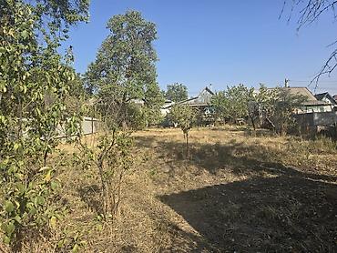 алмашу: 2 комнаты, 50 м², 5 соток, Верхний Орок с., Электричество — 7