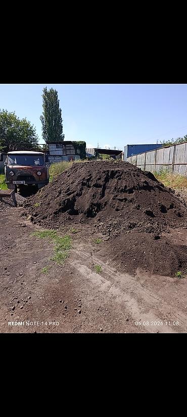 фрукты в корзине: Чернозём/плодородная земля, просеянная фракция для огородов, газонов и — 1