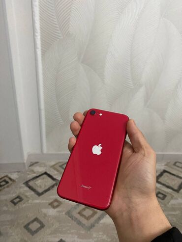 iphone se 2 бу: IPhone SE 2020, Б/у, 128 ГБ, Красный, Чехол, Кабель, 79 %