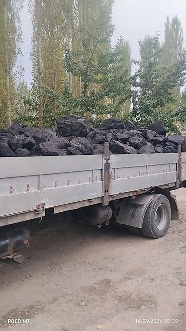 толка оптом: Платная доставка, Оптом, Фракция: Крупный (К), В тоннах — 1