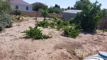 Torpaq sahələrinin satışı: 12 sot, Tikinti, Maklerlər narahat etməsin, Kupça (Çıxarış) — 4