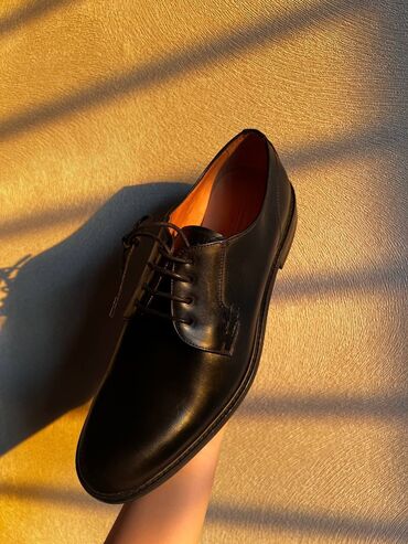 обувь cat: Продаются мужские абсолютно новые туфли Massimo Dutti. Натуральная