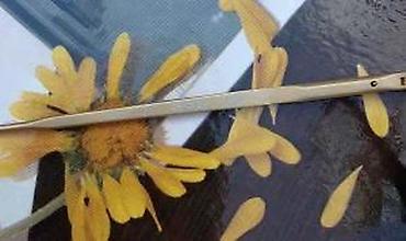 Naočare: Giorgio Armani dioptrijski ram ORIGINAL. Original. Made in ITALY — 9