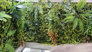 Digər ev dekoru: Kv 25 azn baslayan yasil dekorlar
Her olcude hazrlanr 
Depodan satis — 8