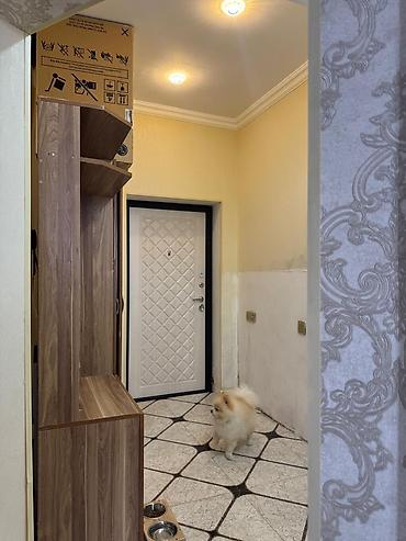 asılqan qarmaq: Dəhliz üçün çoxfunksiyalı giriş dolabı (mətbəx rəngi – qoz/taxta — 4