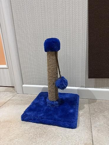 ilan oyuncaq: Pişik üçün dırmaşma və dırnaq itiləmə dirəyi - Material: möhkəm sisal — 1