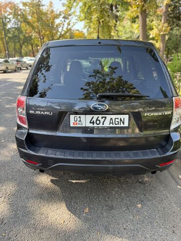 Subaru: Subaru Forester: 2008 г., 2.5 л, Автомат, Бензин, Внедорожник — 3