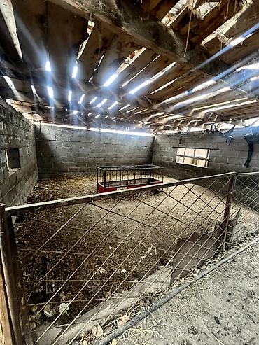 ΠΡΠΎΠ΄Π°ΠΆΠ° Π΄ΠΎΠΌΠΎΠ²: ΠΠΎΠΌ, 60 ΠΌΒ², 4 ΠΊΠΎΠΌΠ½Π°ΡΡ at lalafo.kg β 5 ΠΡΠΎΠ΄Π°ΠΆΠ° Π΄ΠΎΠΌΠΎΠ²: ΠΠΎΠΌ, 60 ΠΌΒ², 4 ΠΊΠΎΠΌΠ½Π°ΡΡ β 5