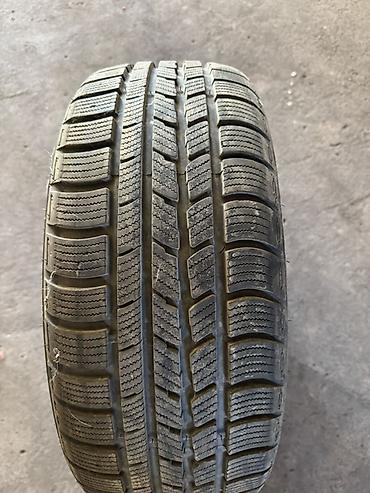 ксенон н4: Зимняя шина Nexen (M+S), радиальная, бескамерная. Размер: 205/55 R16 — 1