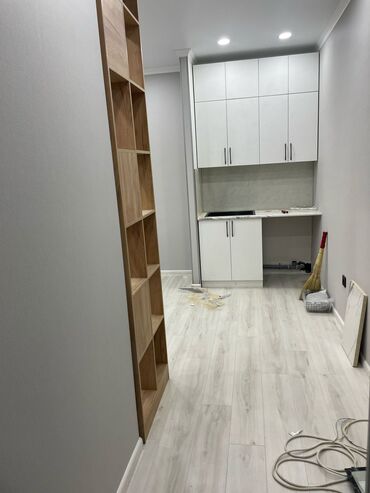 жм ала тоо квартира: 1 бөлмө, 26 кв. м, Жеке план, 5 кабат, Евроремонт