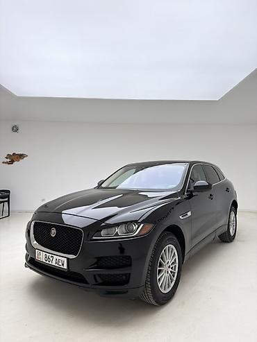 jaguar xe: Jaguar F-Pace: 2020 г., 2 л, Автомат, Бензин, Кроссовер — 3