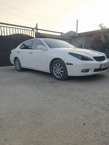 воздушные подушки: Toyota Windom: 2002 г., 3 л, Автомат, Газ, Седан — 2