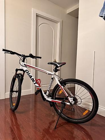 İdman velosipedləri: Giant Rincon dağ velosipedi - Çərçivə: yüngül alyumini (ALUXX) — 3
