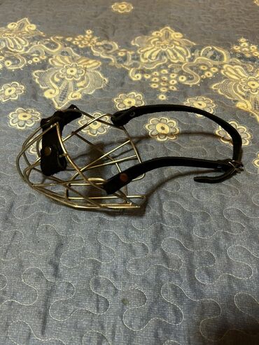 Xaltalar, qayışlar və tasmalar: İt aksesuarları dəsti, tek tek qiymetler qeyd edilib endirim yoxdur — 6