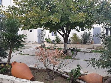 İcarəyə restoran və kafelər: “Karvan Restoran” – restoran obyekti - Fəaliyyət sahəsi: ictimai — 4