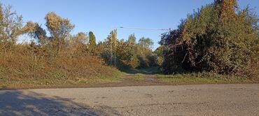 Torpaq sahələrinin satışı: 58 sot, Kənd təsərrüfatı, Barter mümkündür, Kupça (Çıxarış) — 4