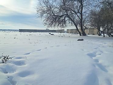 Продажа участков: 20 соток, Для сельского хозяйства, Красная книга, Тех паспорт — 16