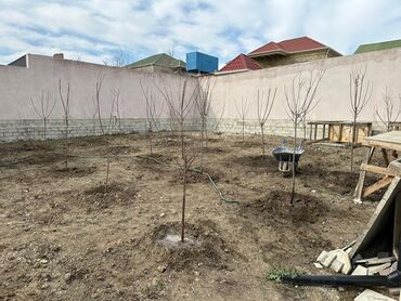 Həyət evləri və villaların satışı: Binəqədi qəs. 5 otaqlı, 200 kv. m, Kredit yoxdur, Yeni təmirli — 22