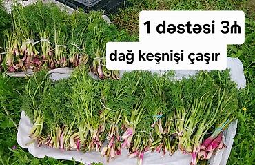 kənd məhsulları: Salam aleykum bir dəstəsi 3₼ cox alan olsa çatdırılması mümkündür — 1