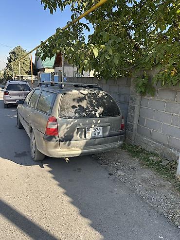 лампы для цветов: Opel Vectra: 1997 г., 2 л, Автомат, Бензин, Универсал — 4