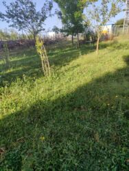 Günlük kirayə mənzillər: 2 otaqlı — 12