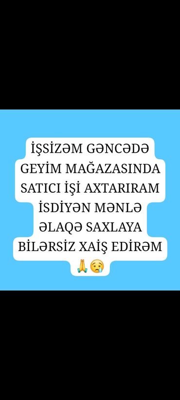 is axdariram xanimam: Satış məsləhətçisi. Təcrübəsiz