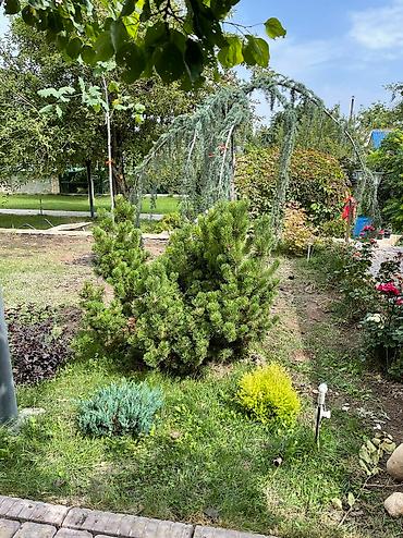 Продажа дач: Панорама! Продаются 6 совмещенных дач на Панораме! 36 соток. Идеально — 13