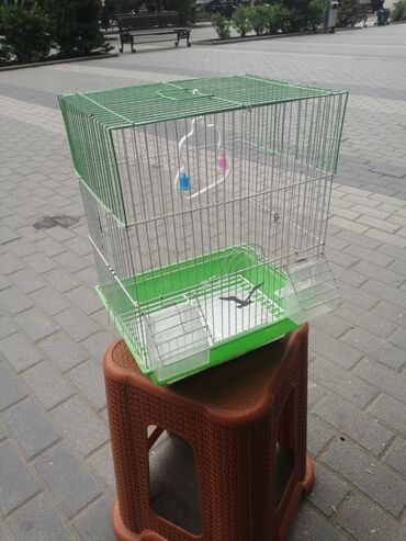 Qəfəslər: Təzə Qəfəslər 9azn boş qəfəslər Valnisti Tutuquşu Qəfəsi 9azn Amadin — 21