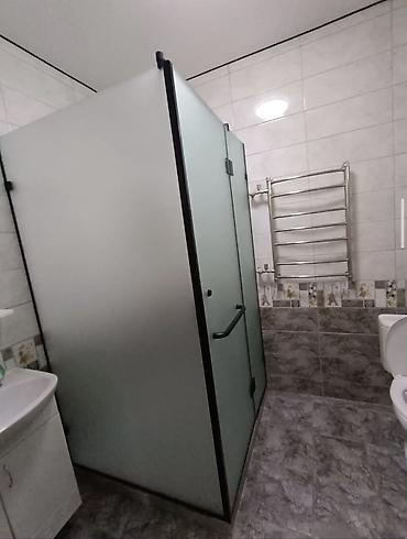 Душевые перегородки и ограждения: Душевая перегородка, как в дизайнерских проектах Минимум металла — 11