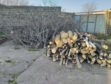 Kömür: Hazır doğranmış odun parçaları