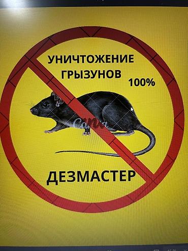 Дезинфекция, дезинсекция: Дезинфекция, дезинсекция, | Клопы, Блохи, Тараканы, | Транспорт, Офисы, Квартиры — 5