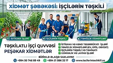 ev iş ilanları: İŞÇİ XİDMƏTLƏRİ TƏKLİF EDİRİK! Bağ, istixana və müxtəlif təsərrüfat — 1