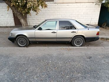 мерседес дельфин пасажир: Mercedes-Benz W124: 1988 г., 3 л, Автомат, Дизель, Седан