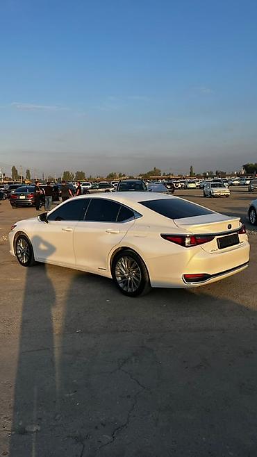 лексус 570 цена: Lexus ES: 2020 г., 2.5 л, Гибрид, Седан — 1