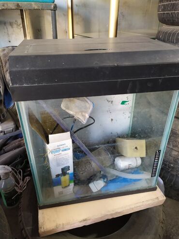 аквариум тумба: Срочно продается Аквариум 🐠 65 литров